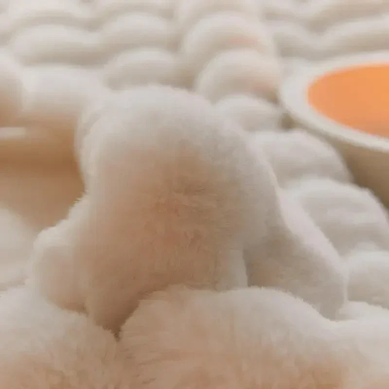 The Plush Blanket Everyone Is Talking About! – WarmPlush