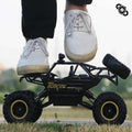 Ultimate 4x4 RC Monster Truck