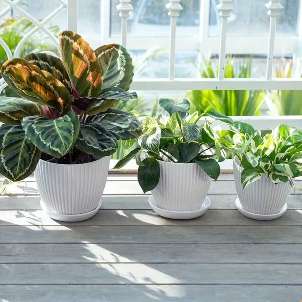 Vertical Striped Flower Pot with Saucer