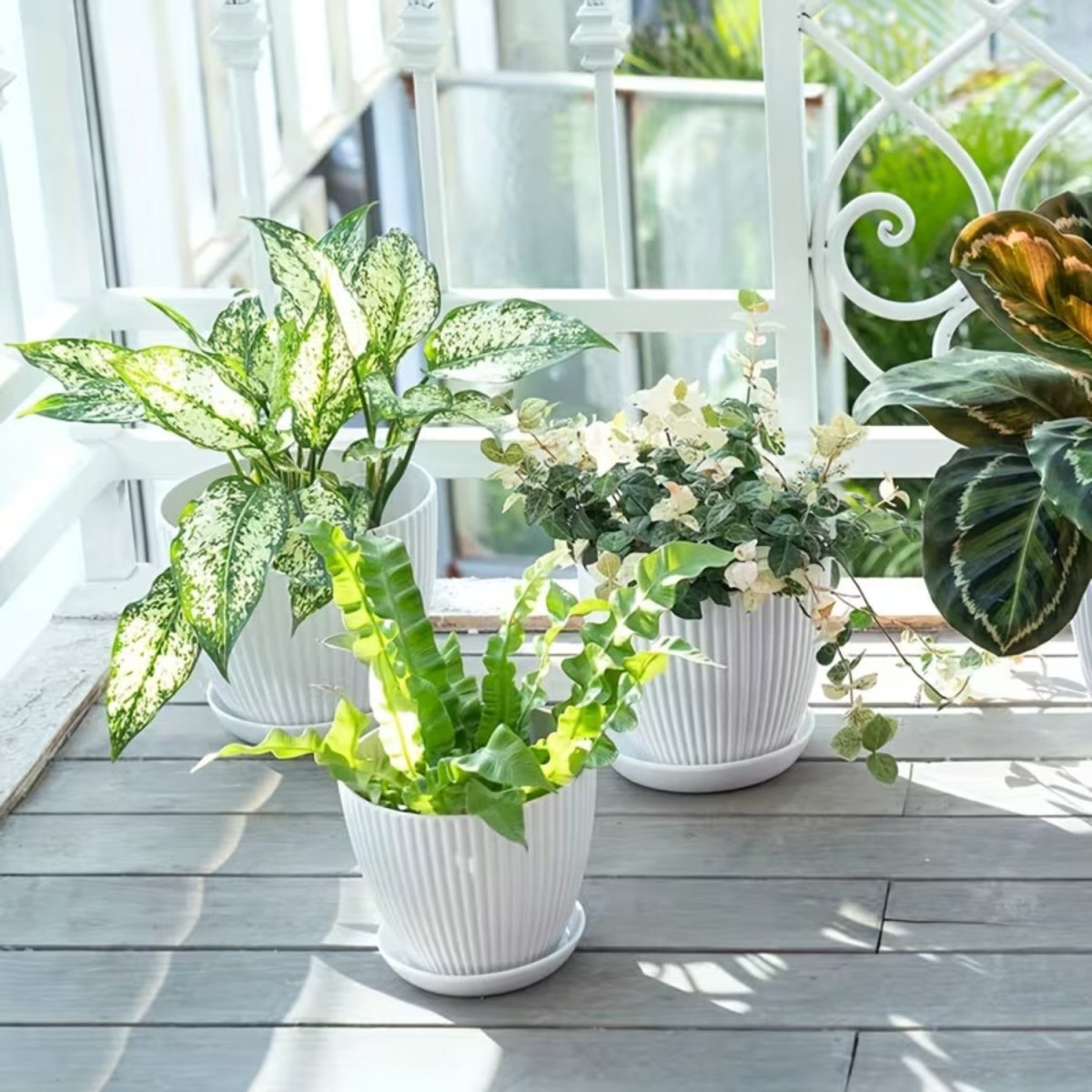 Vertical Striped Flower Pot with Saucer