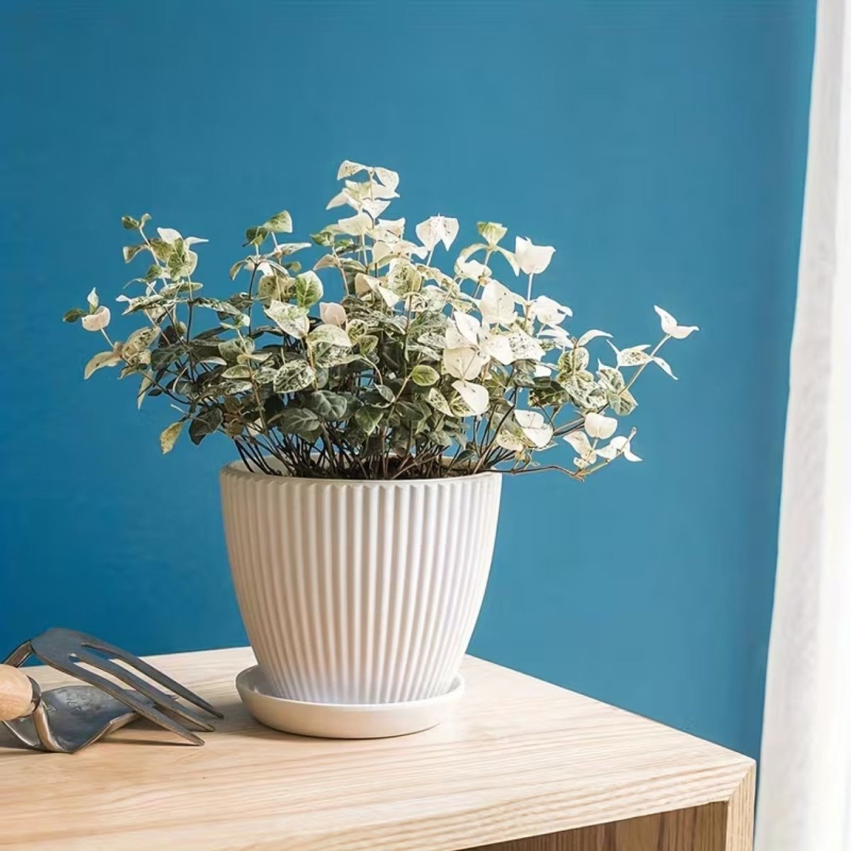 Vertical Striped Flower Pot with Saucer