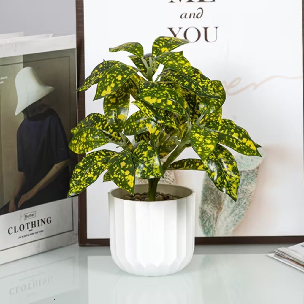 Vertical Striped Pot for Indoor Plants